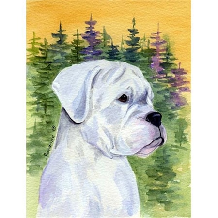 Carolines Treasures Carolines Treasures SS8198CHF Boxer Canvas Flag - House Size; 28 x 40 in. SS8198CHF